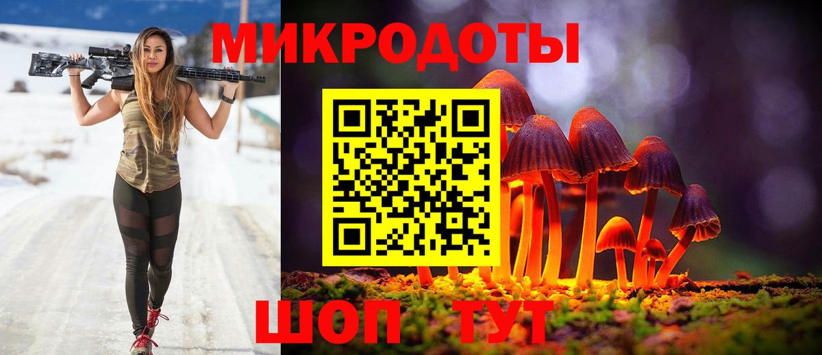 Новотроицк  Псилоцибиновые грибы мицелий  Вход с VPN 